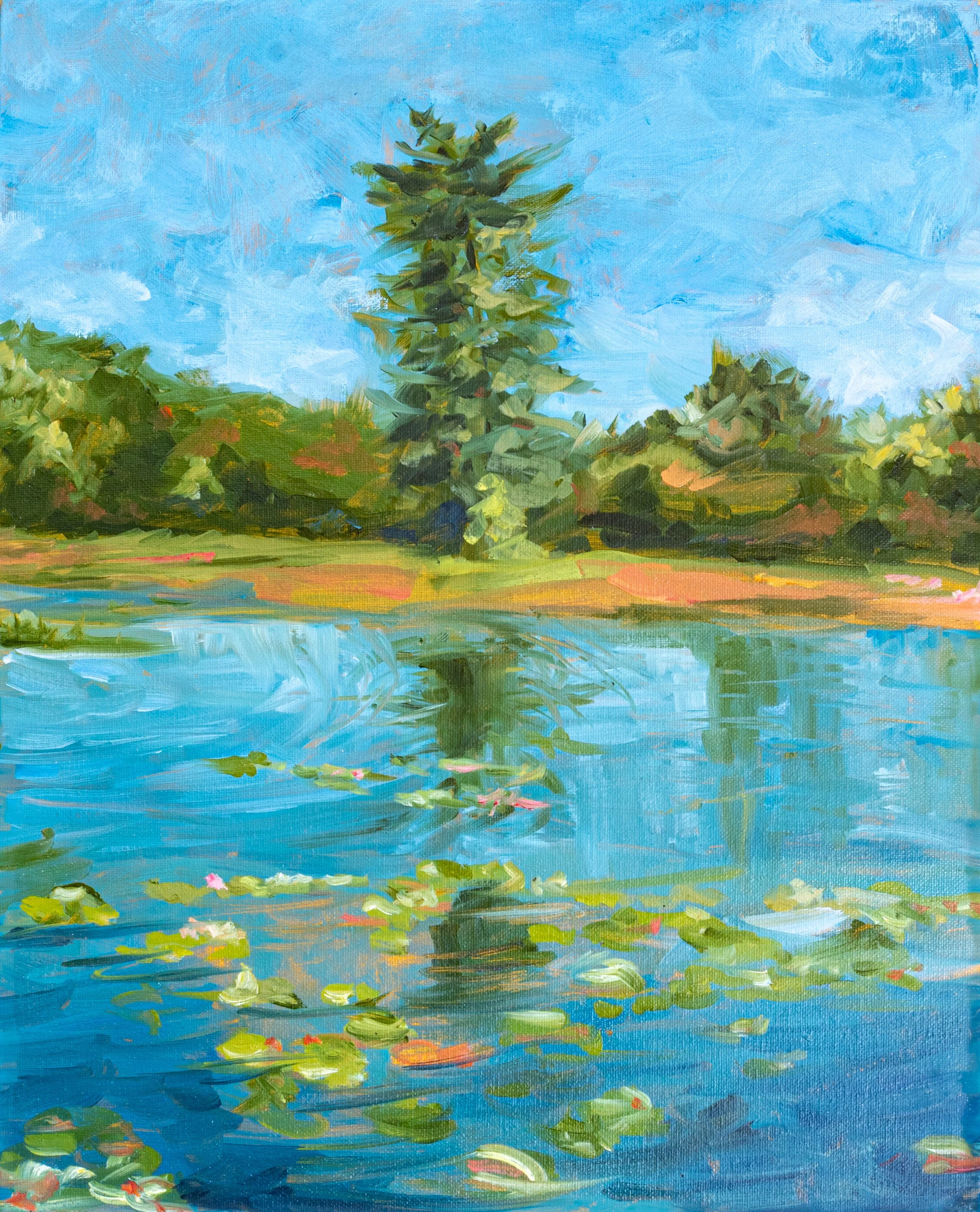 Ringwood State Park, August